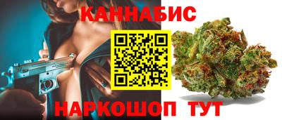 сатива Новокубанск