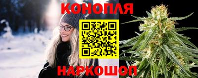 сатива Новокубанск
