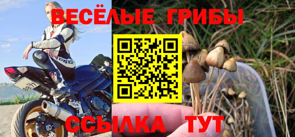 Нерюнгри  Галлюциногенные грибы Magic Shrooms  как найти закладки  Вход с VPN 